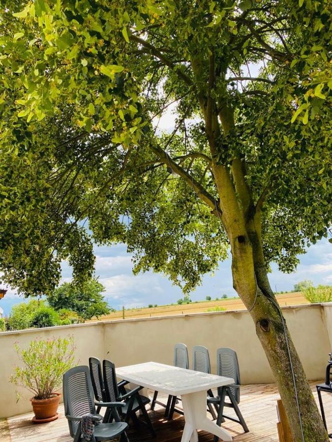 Gite Spa La Grange Kintzheim Exteriér fotografie