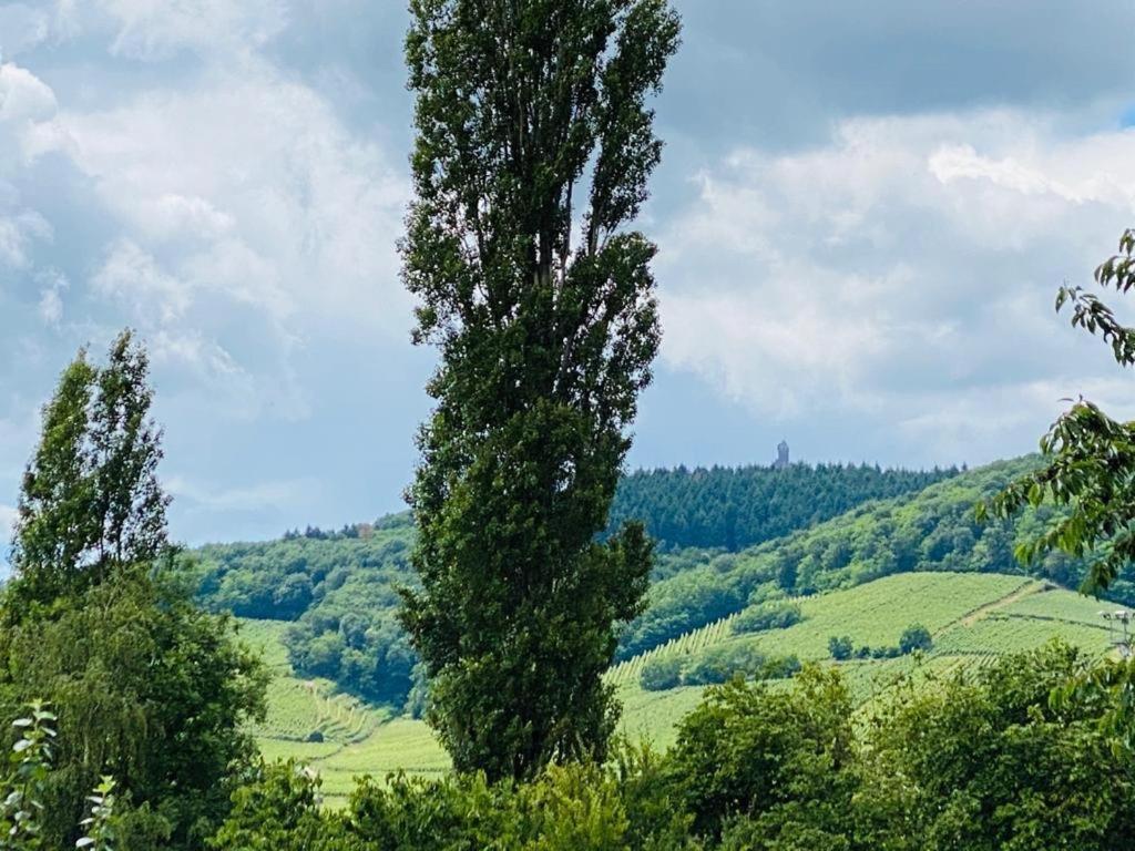 Gite Spa La Grange Kintzheim Exteriér fotografie