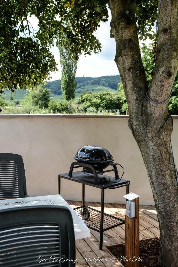 Gite Spa La Grange Kintzheim Exteriér fotografie