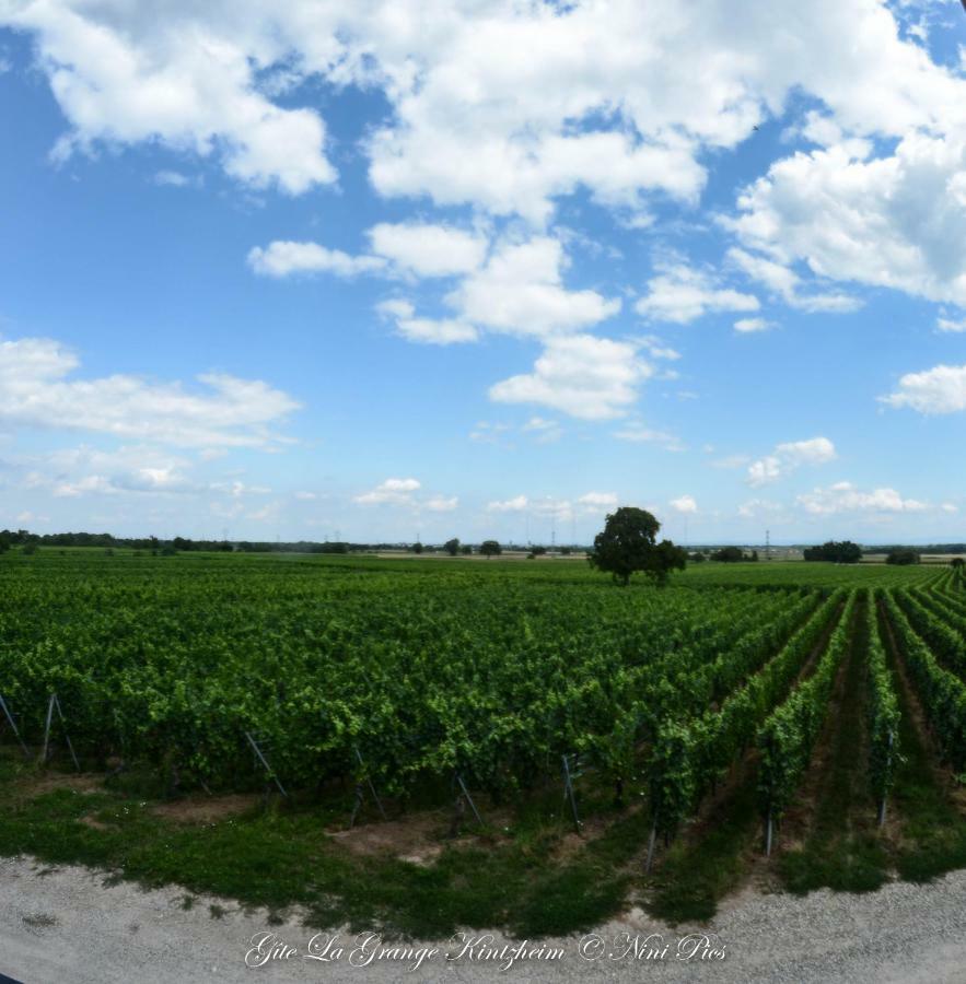 Gite Spa La Grange Kintzheim Exteriér fotografie
